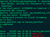 PostgreSQL教程(10)物理备份工具pg_basebackup使用教程