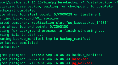 PostgreSQL教程（10）物理备份工具pg_basebackup使用教程