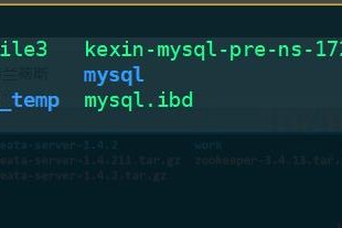 【MySQL 8.0】MySQL 8.0新特性介绍与升级方法